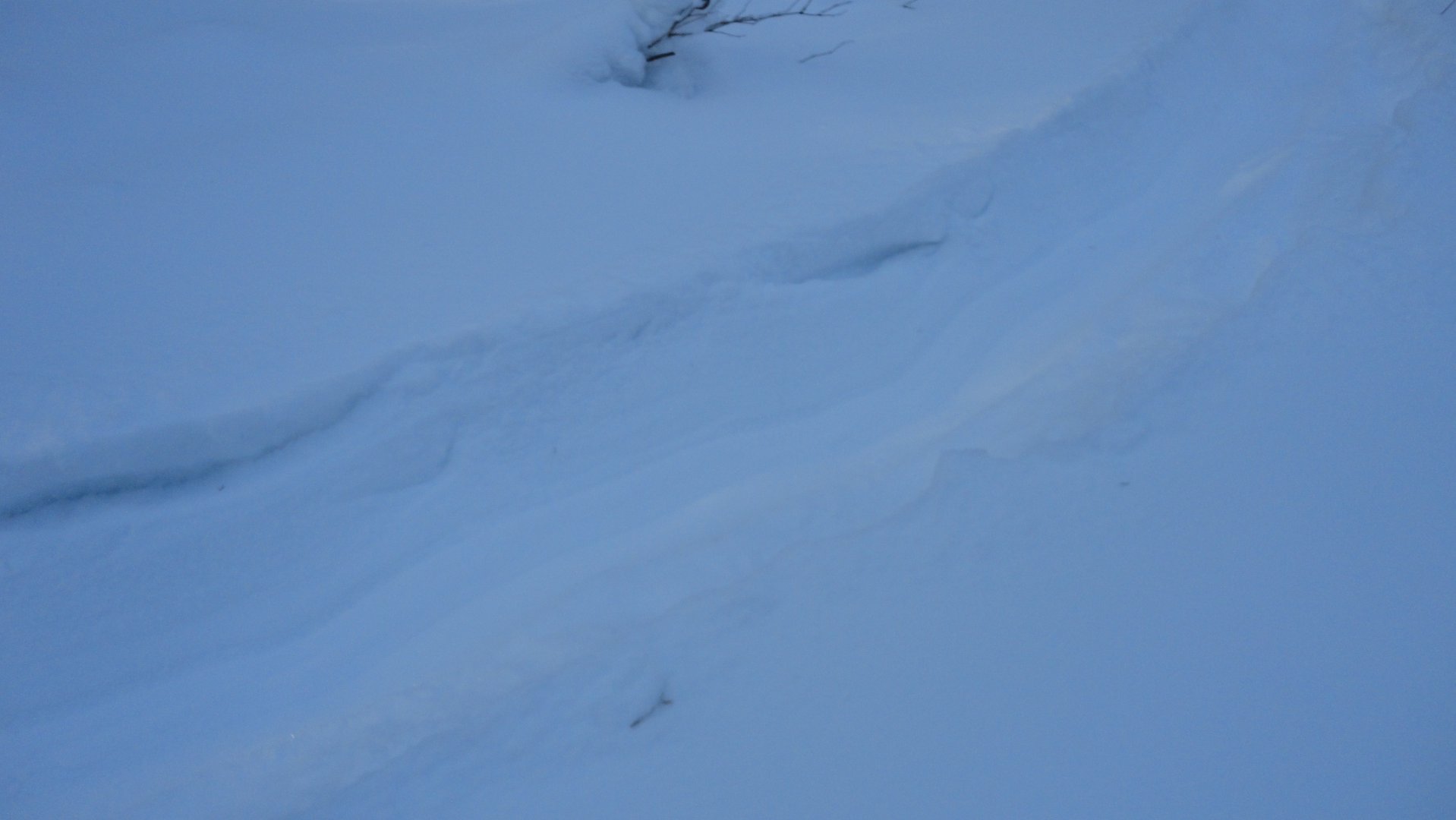 DSC01849.JPG