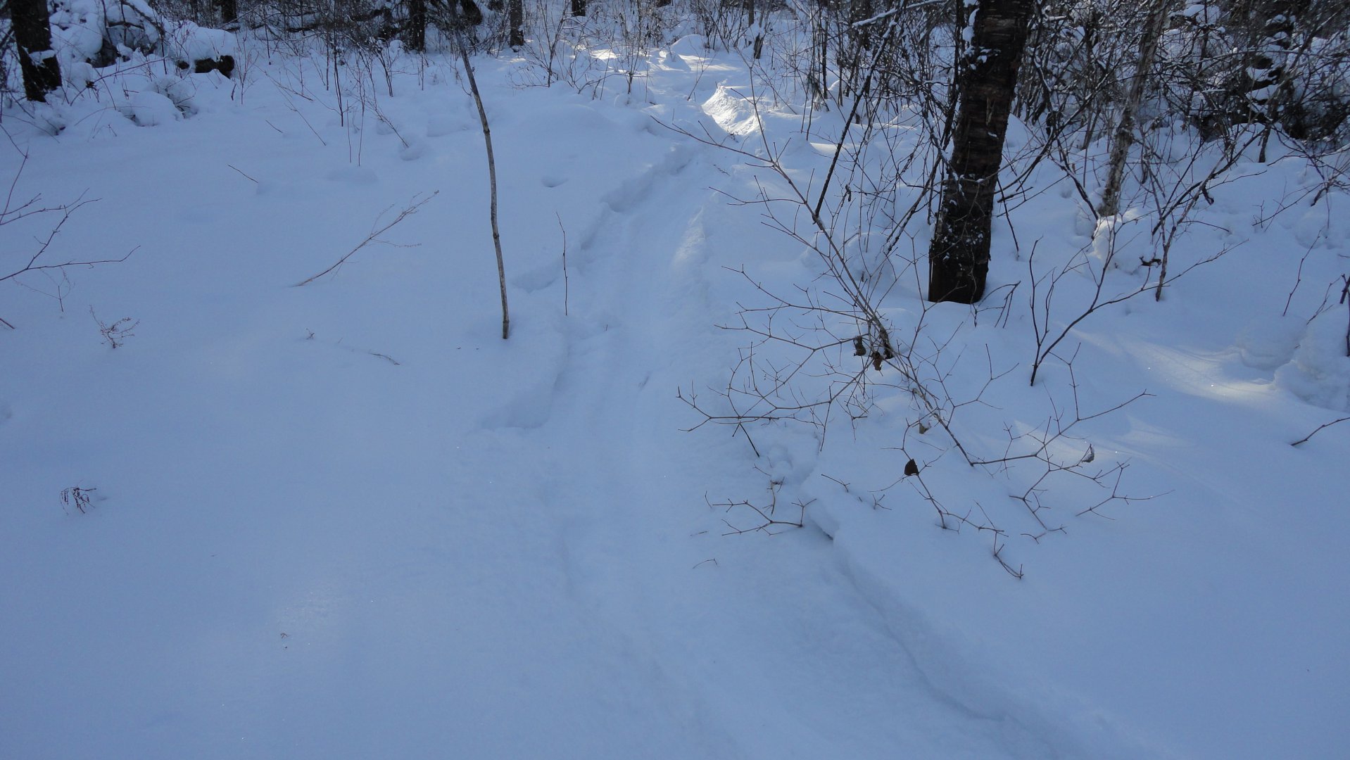 DSC01851.JPG