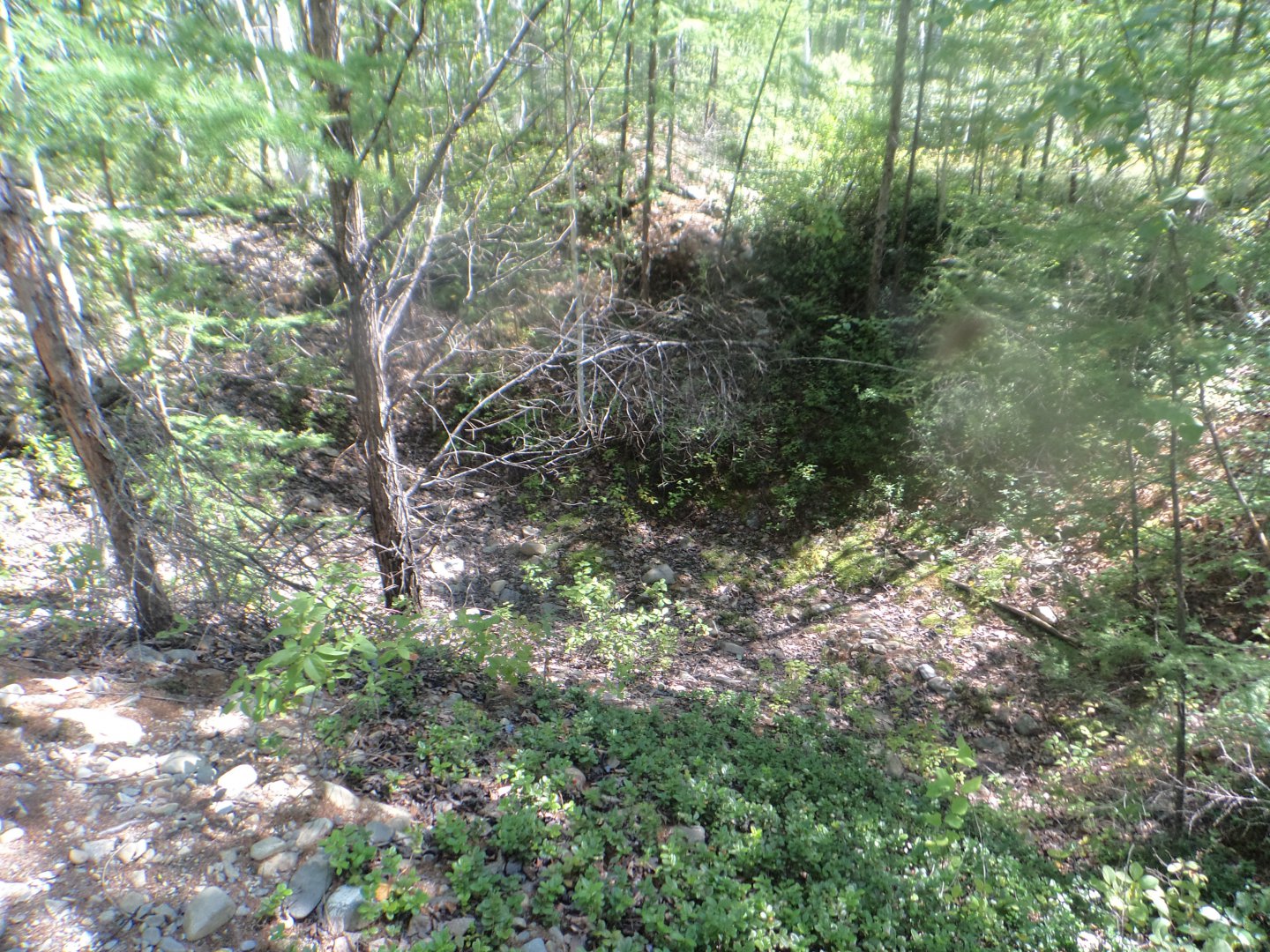 DSC01859.JPG