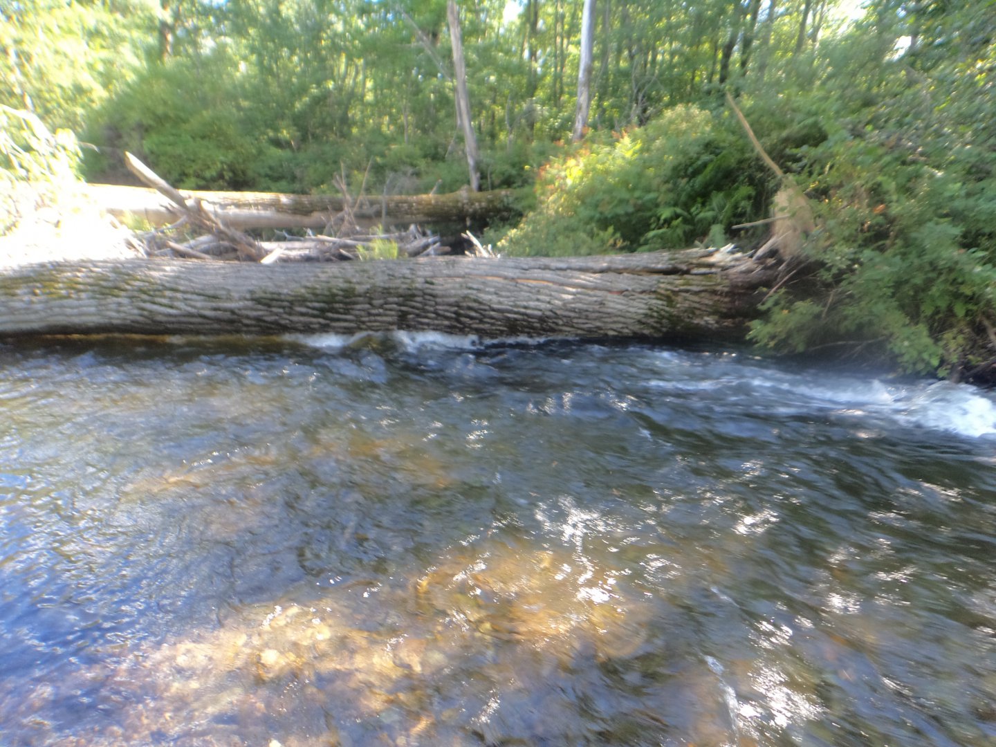 DSC01875.JPG