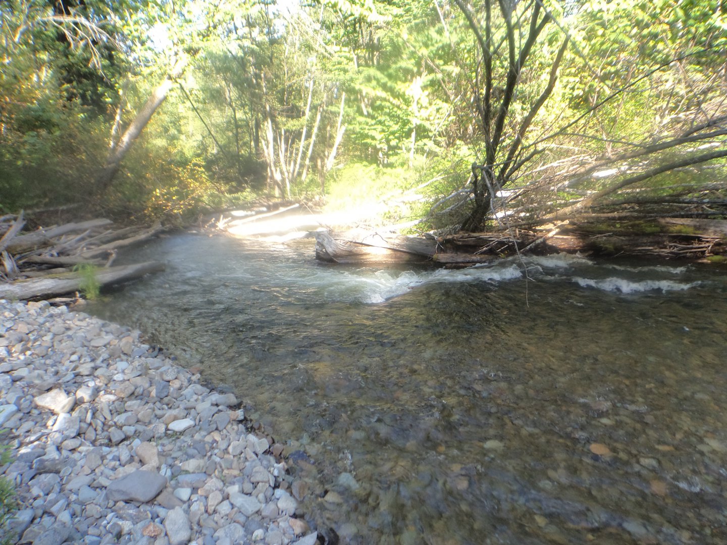 DSC01892.JPG