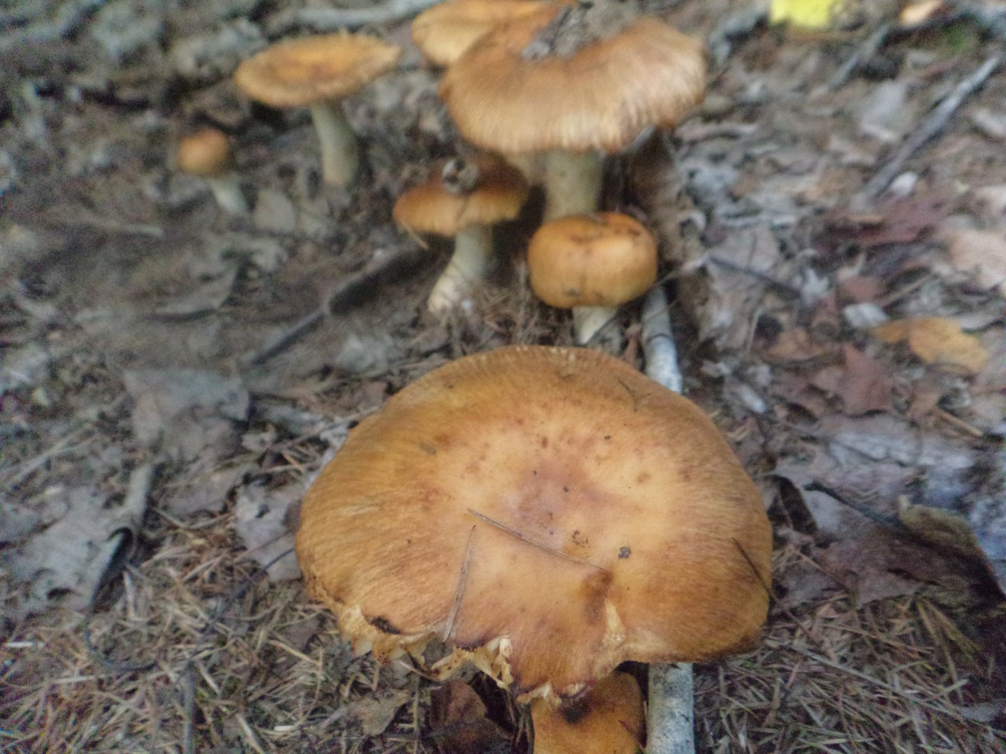 DSC01902.JPG