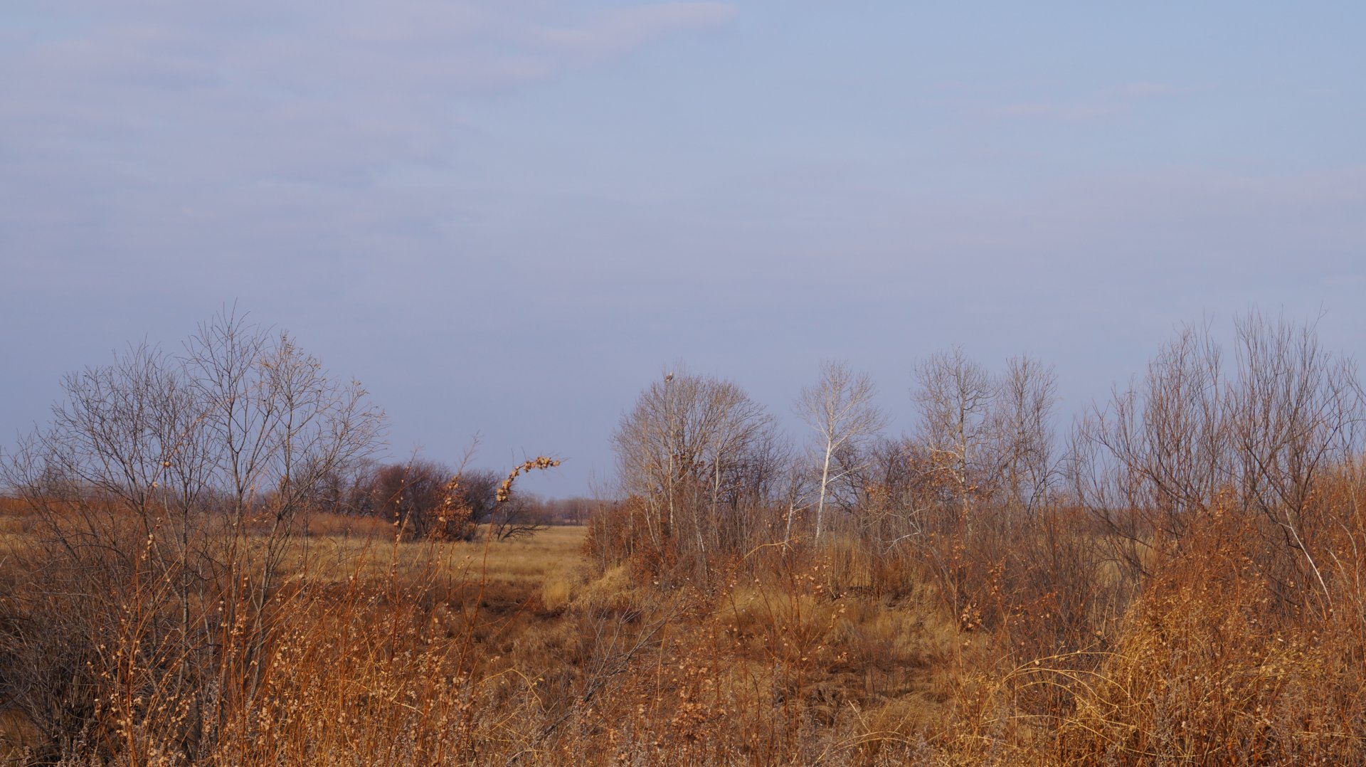 DSC01935.JPG