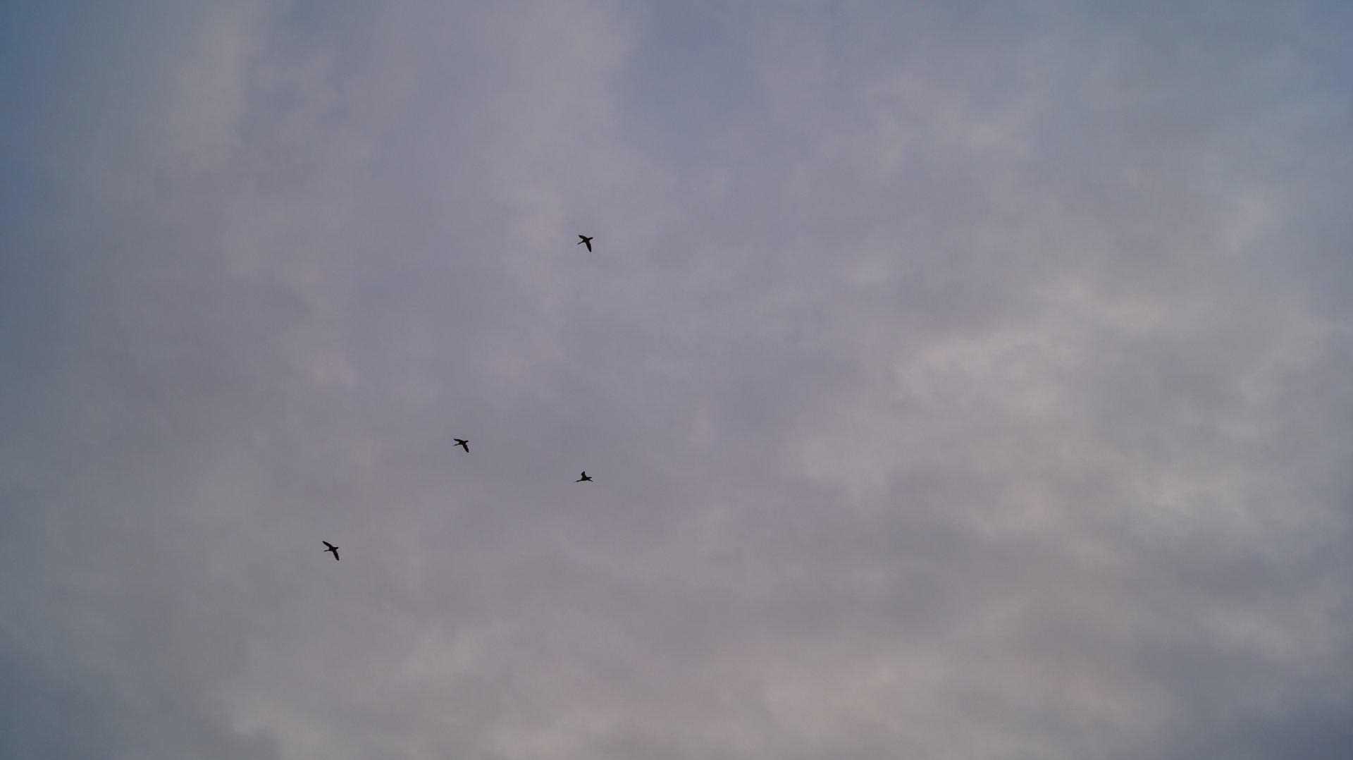 DSC01948.JPG