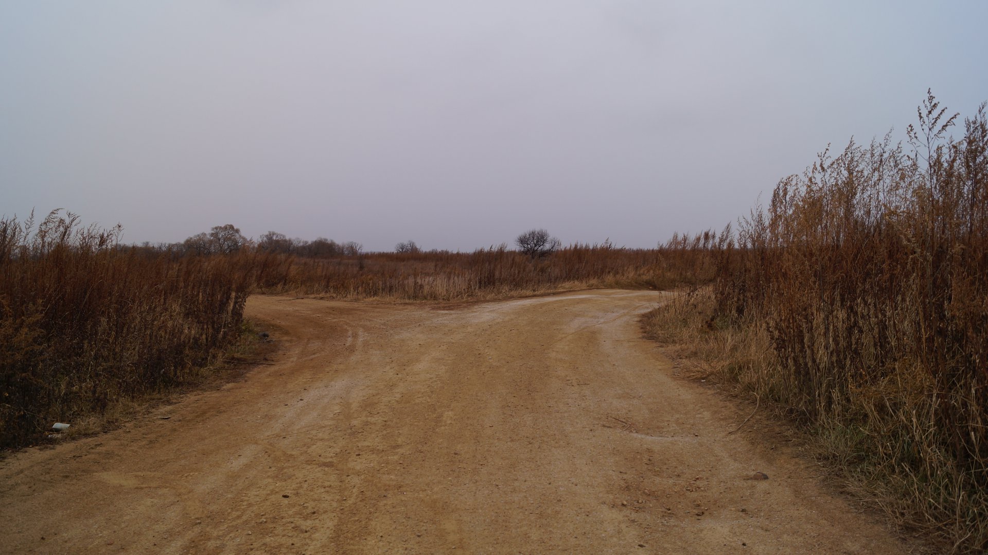 DSC01965.JPG