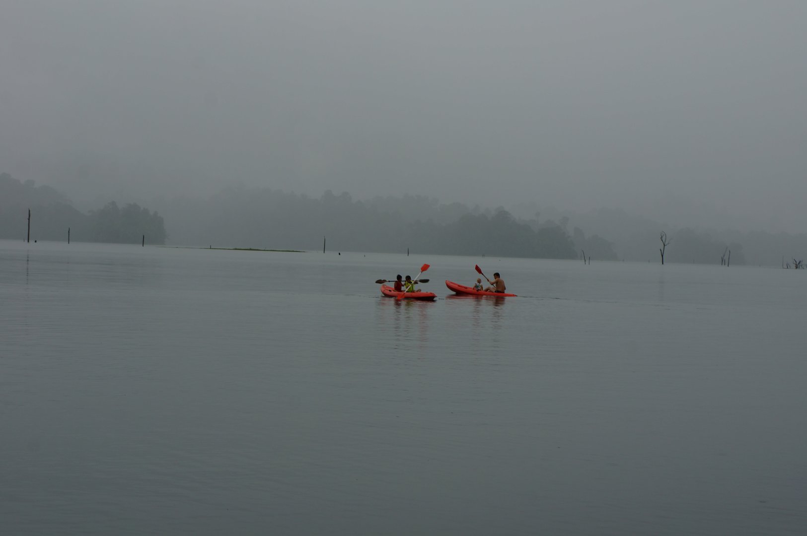 DSC01982.JPG