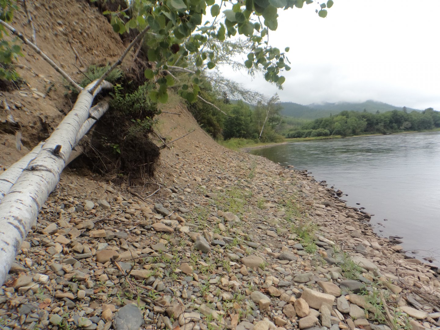DSC01988.JPG