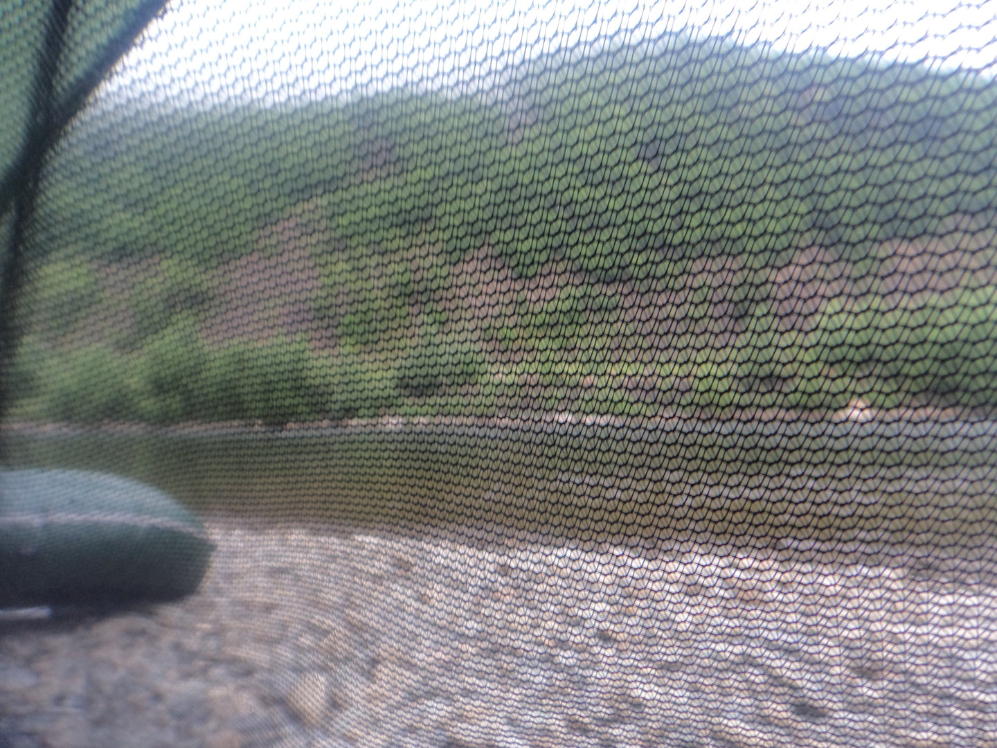DSC01989.JPG