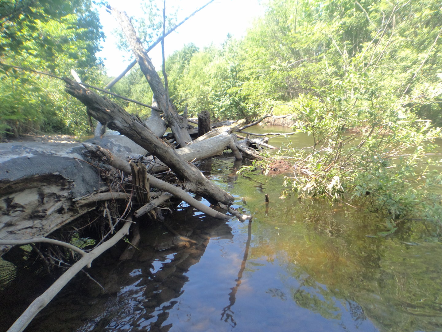 DSC02012.JPG