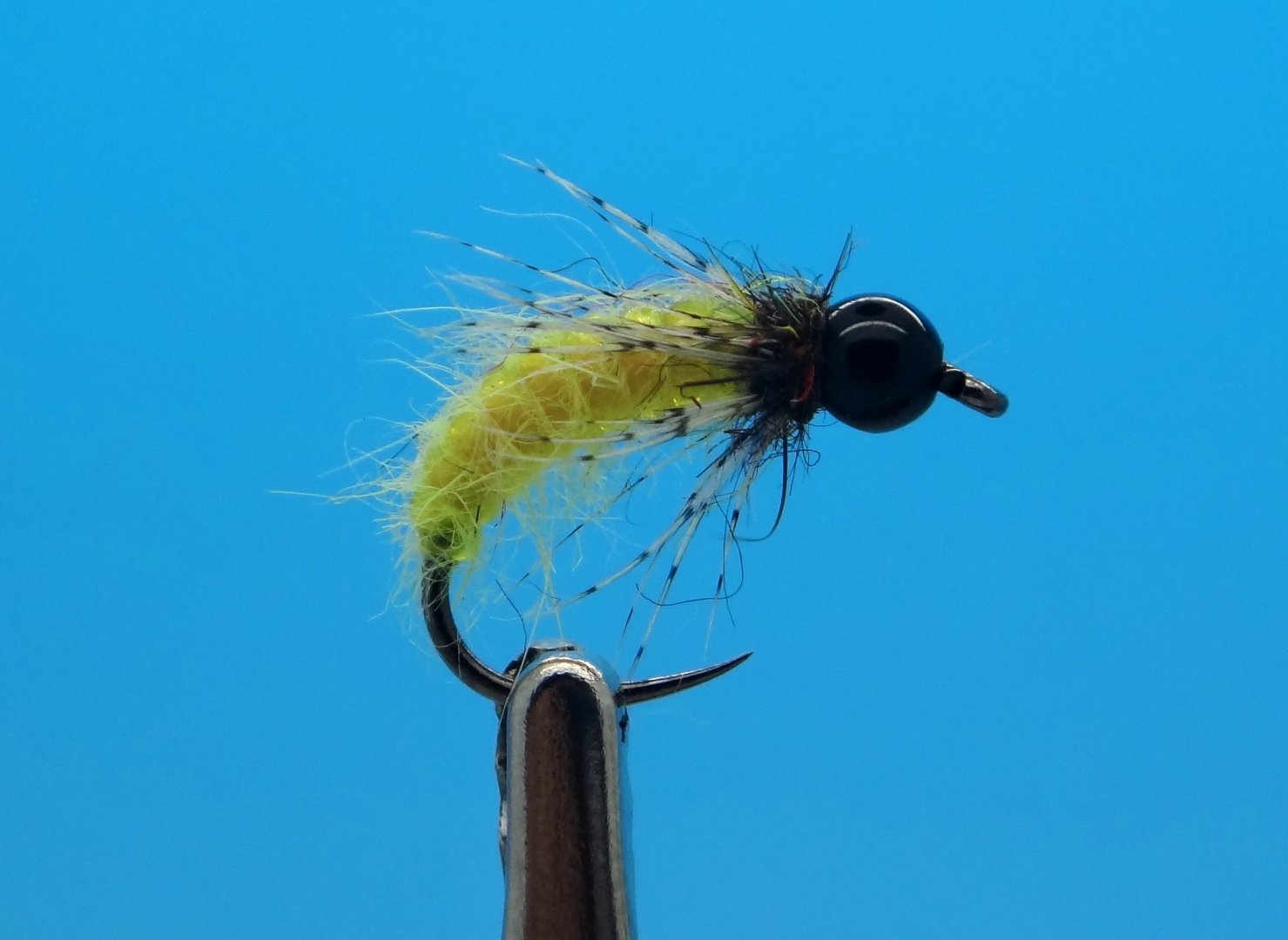 DSC02013.JPG