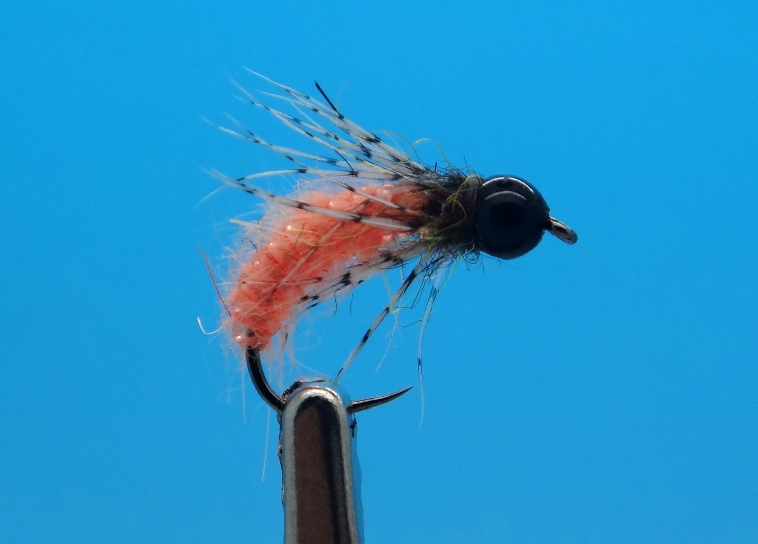 DSC02014.JPG