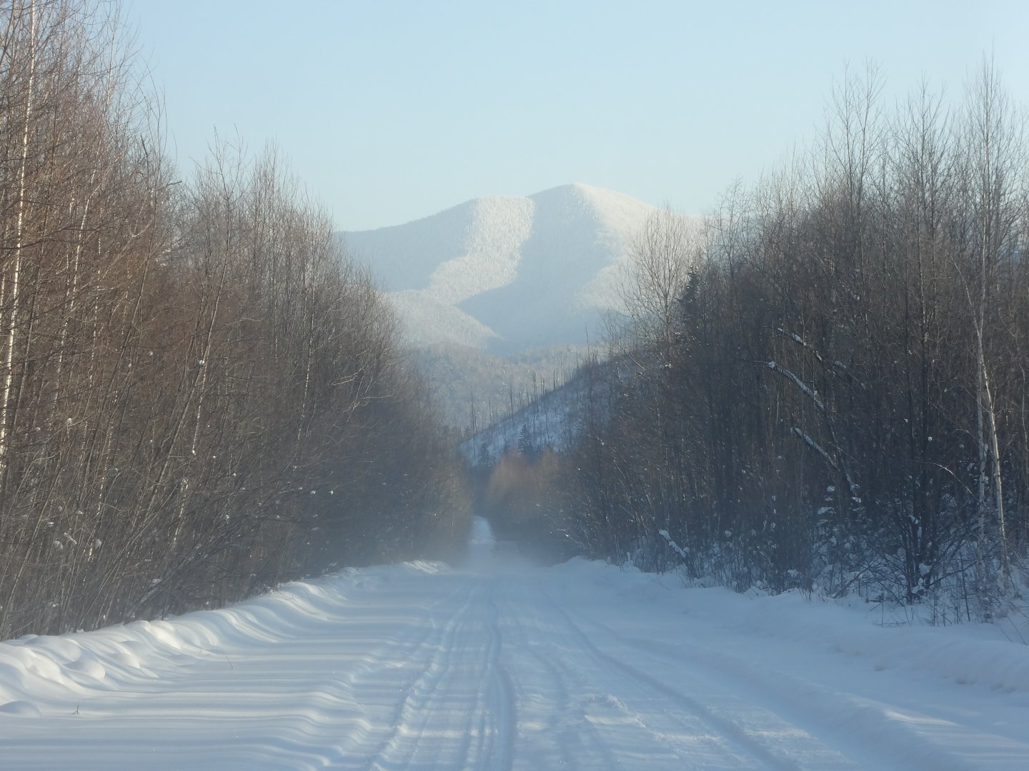 DSC02018.JPG