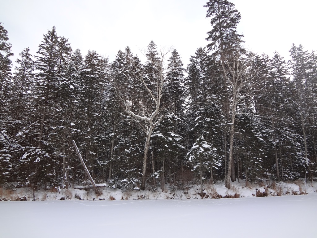DSC02038.JPG