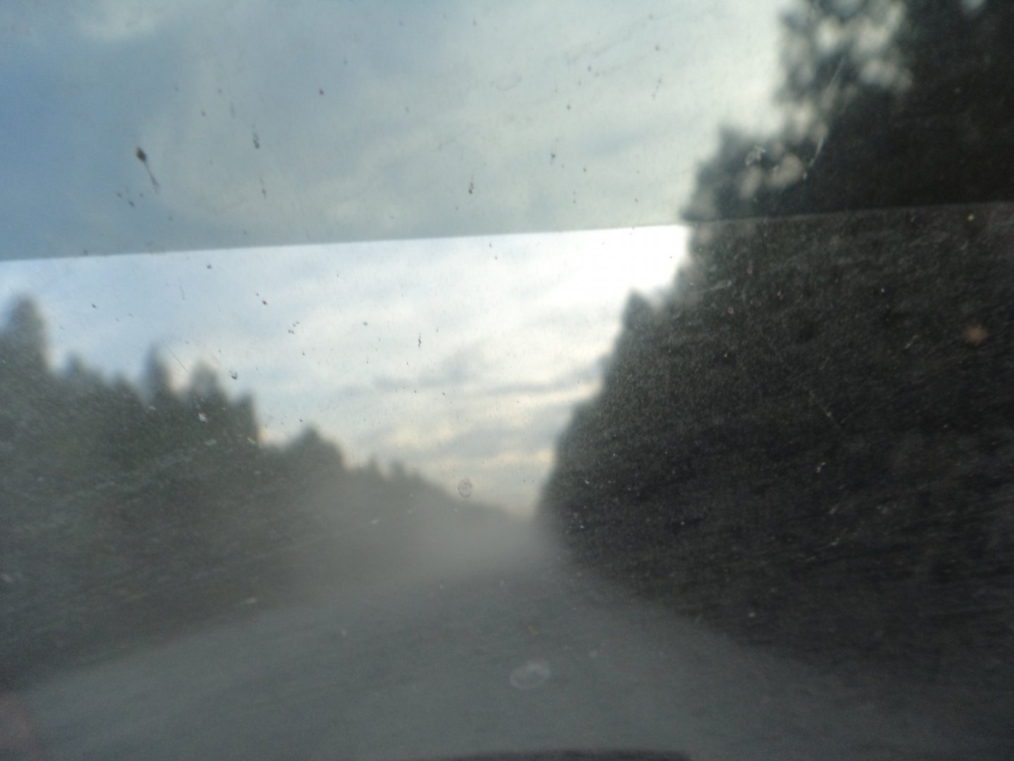 DSC02039.JPG