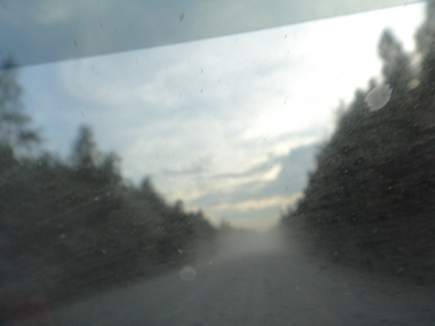 DSC02040.JPG