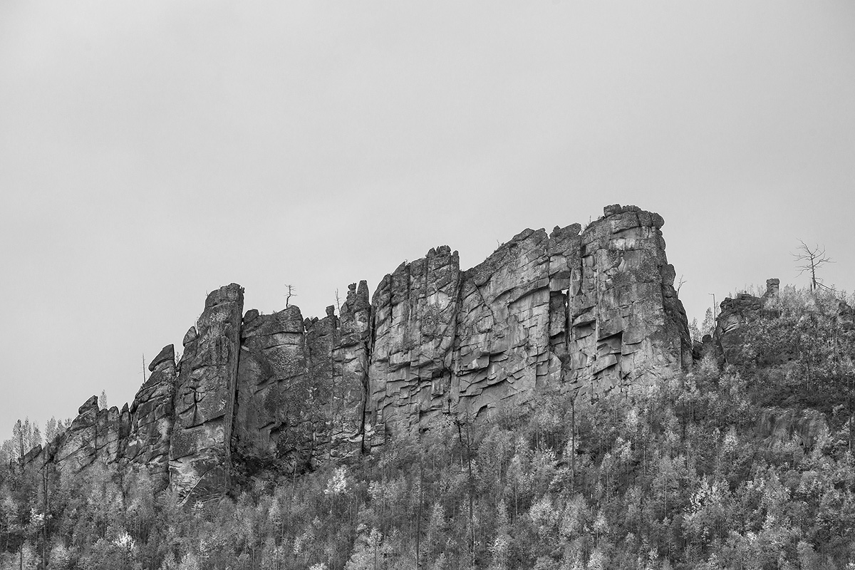 DSC02040.jpg