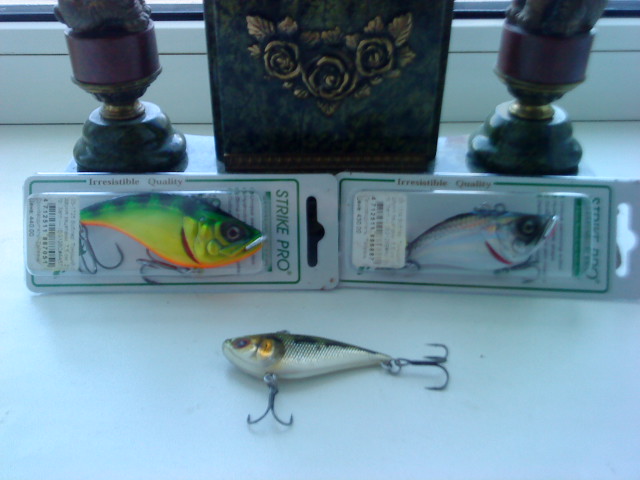 DSC02083.JPG
