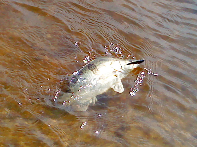 DSC02092.JPG