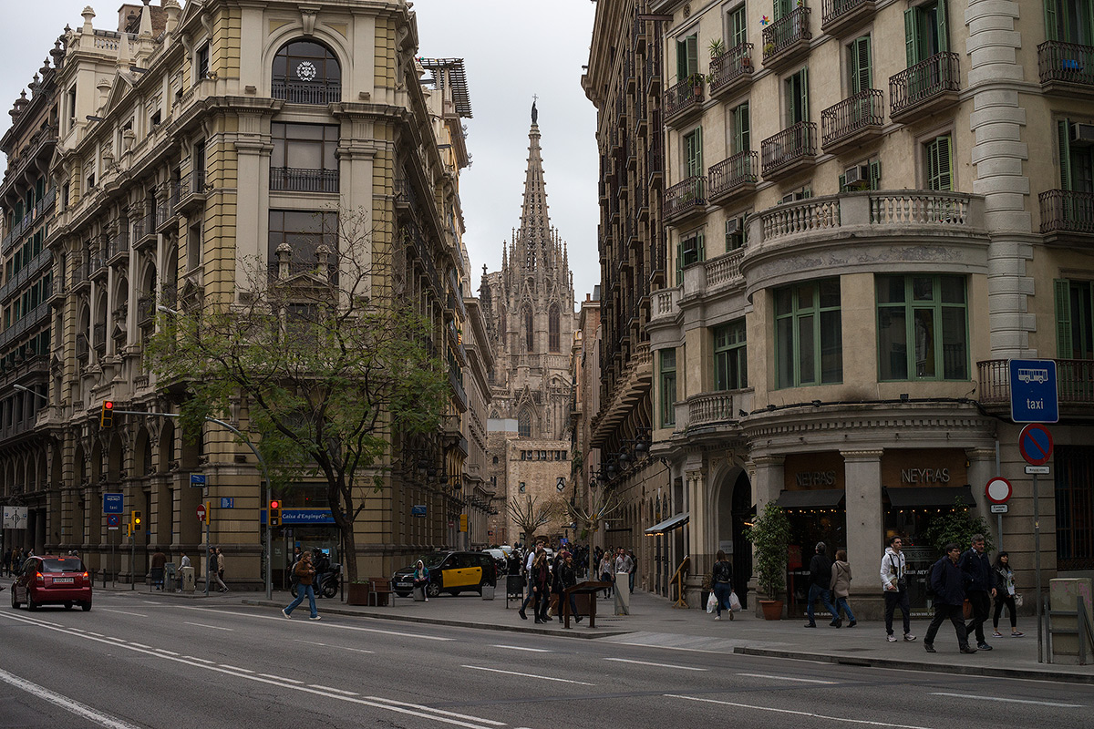 DSC02095.jpg