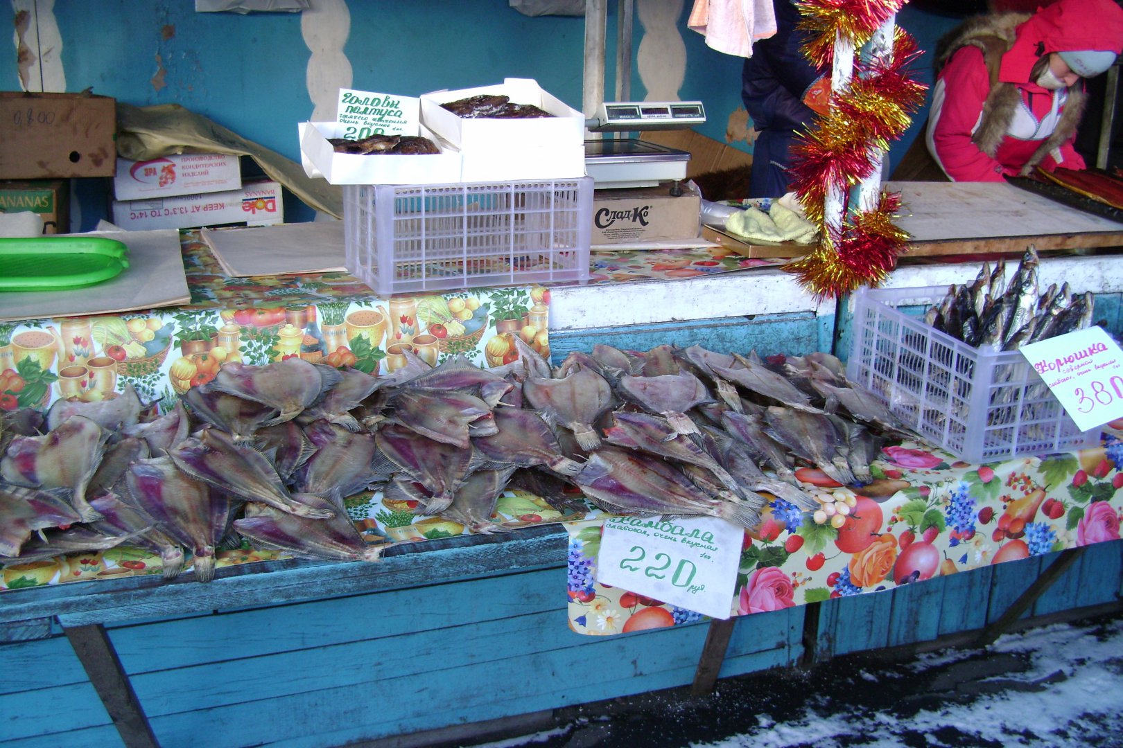 DSC02098.JPG