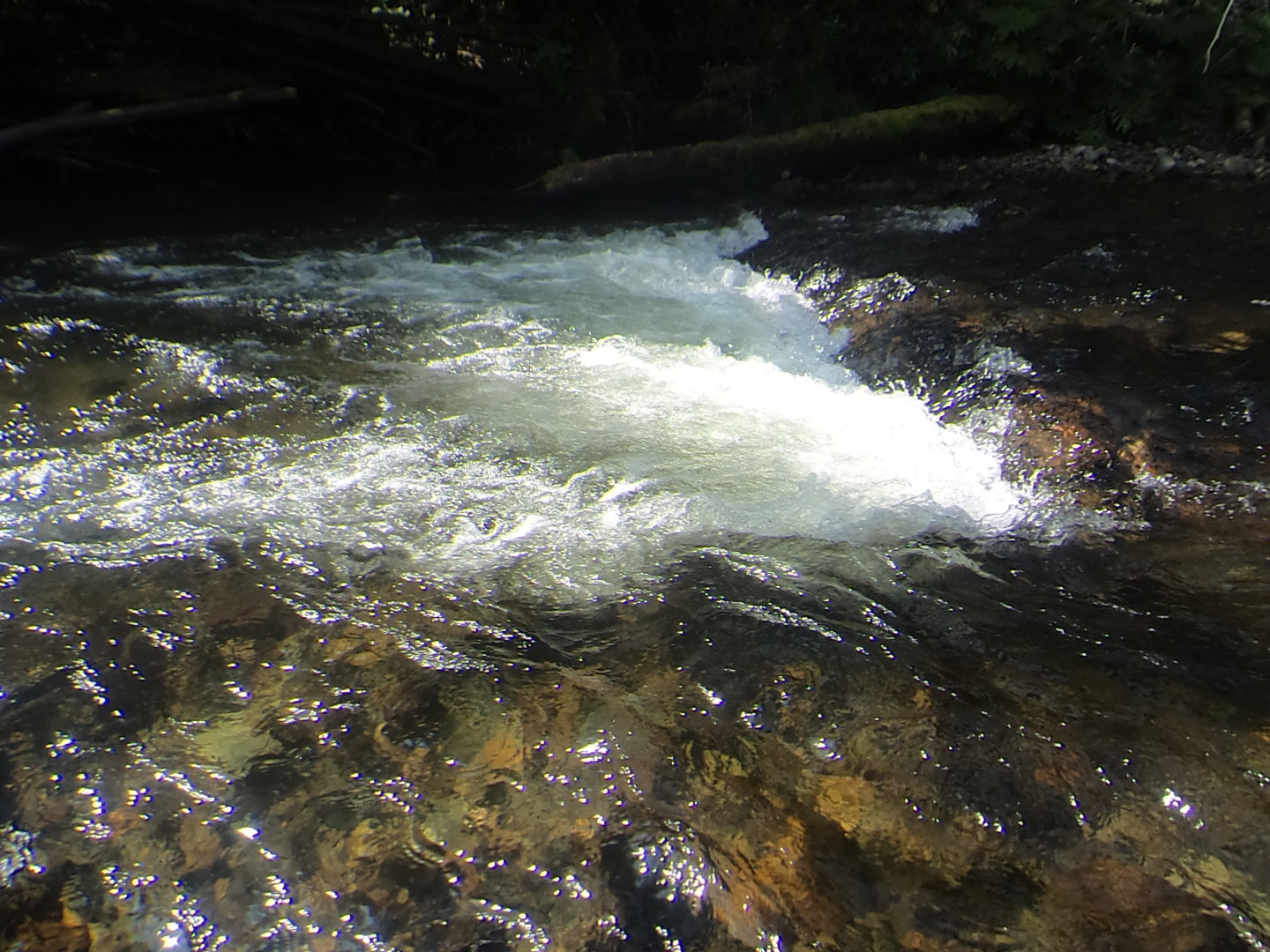 DSC02098.JPG