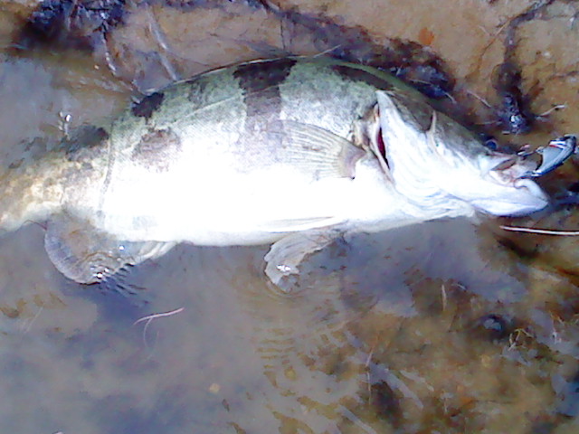 DSC02099.JPG