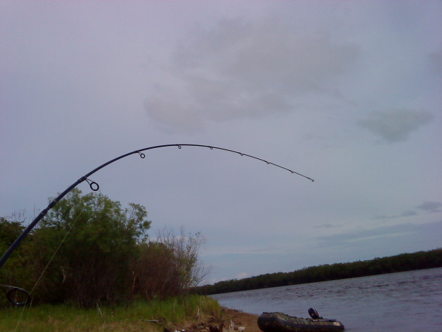 DSC02101.JPG