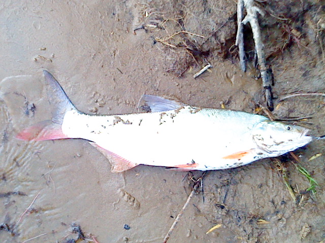 DSC02105.JPG