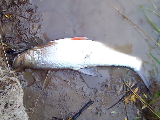 DSC02107.JPG