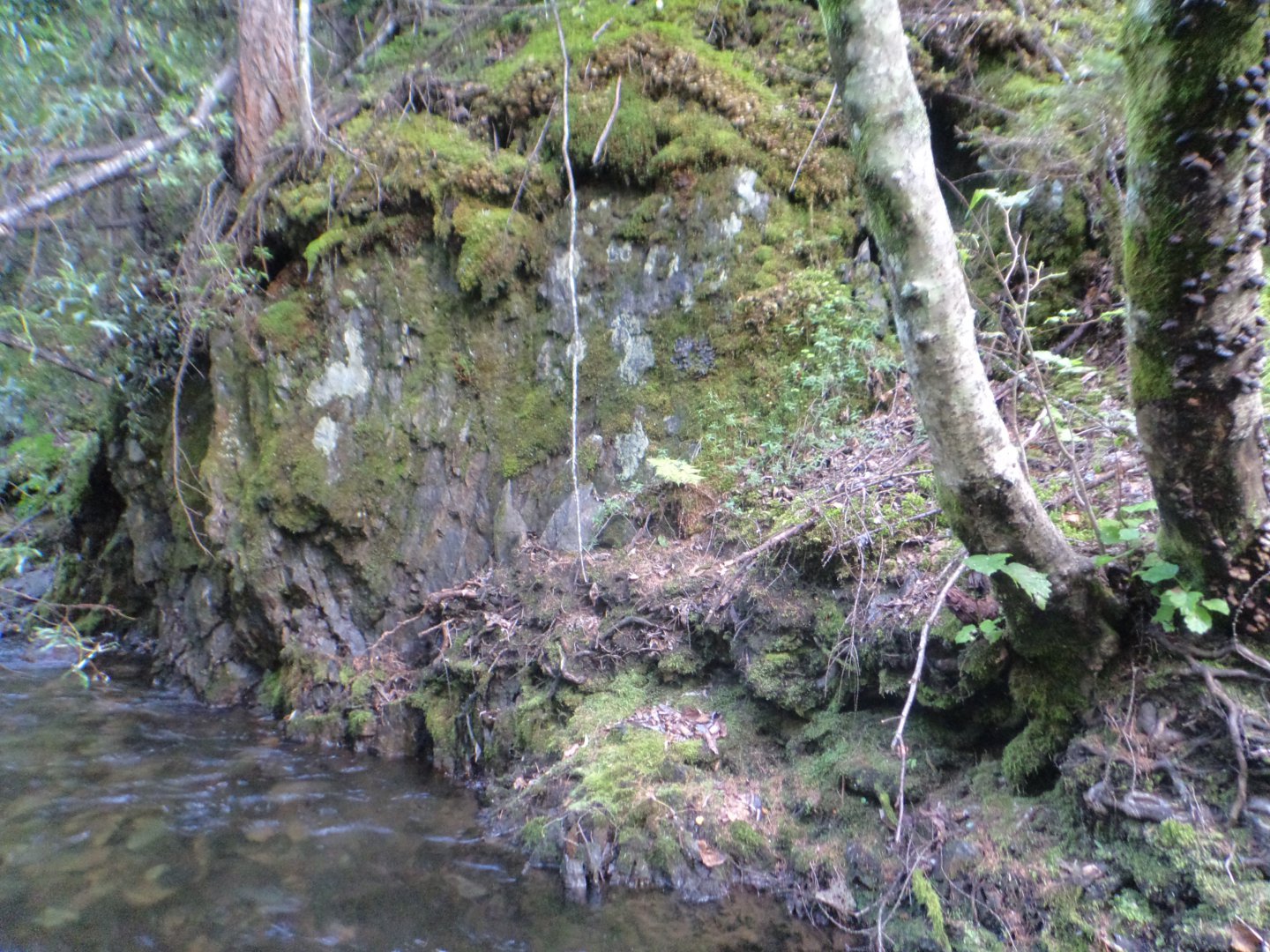 DSC02110.JPG
