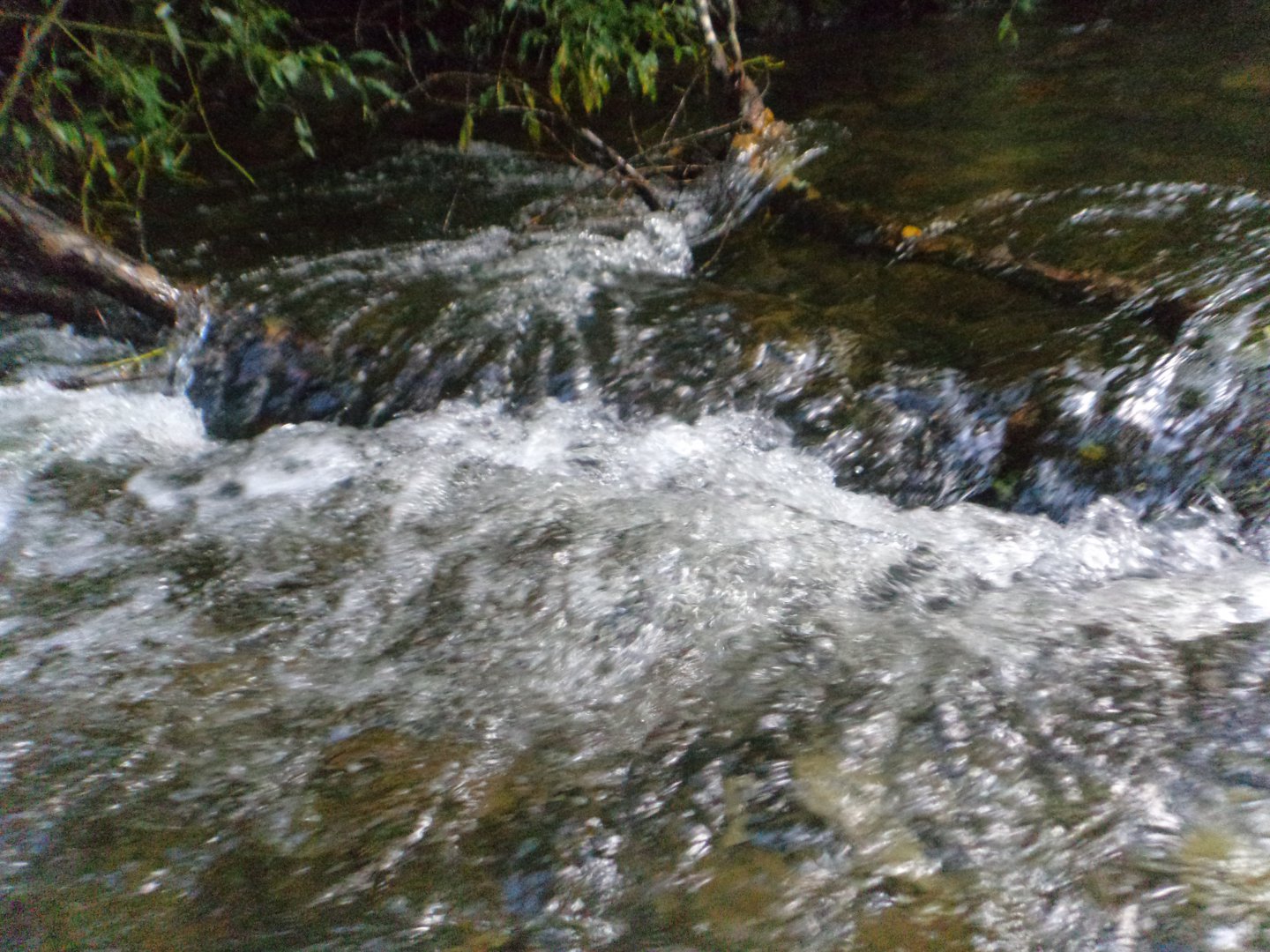 DSC02111.JPG