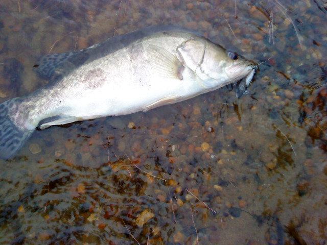DSC02113.JPG