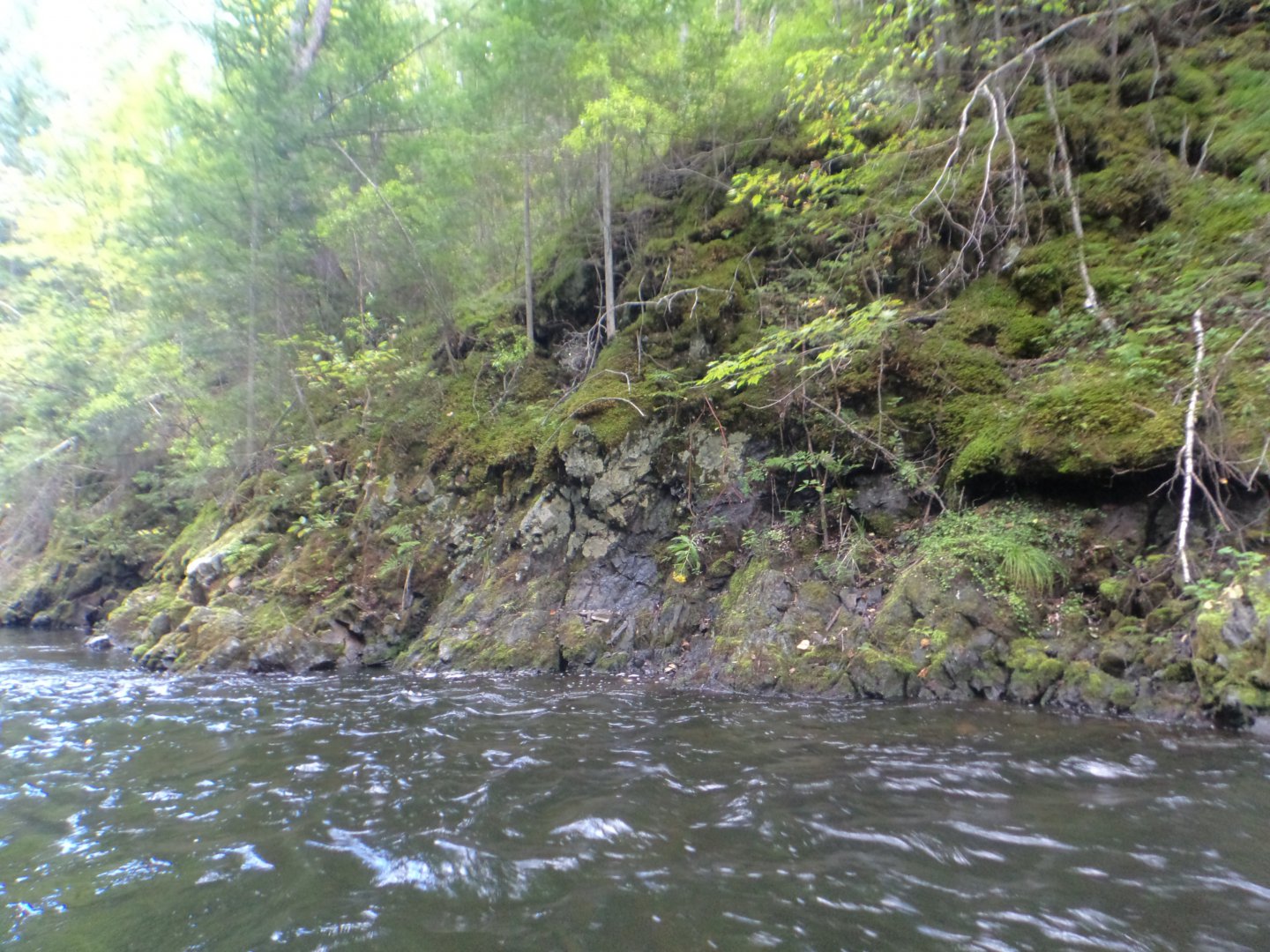 DSC02113.JPG