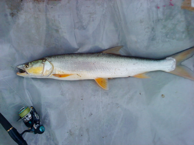 DSC02114.JPG