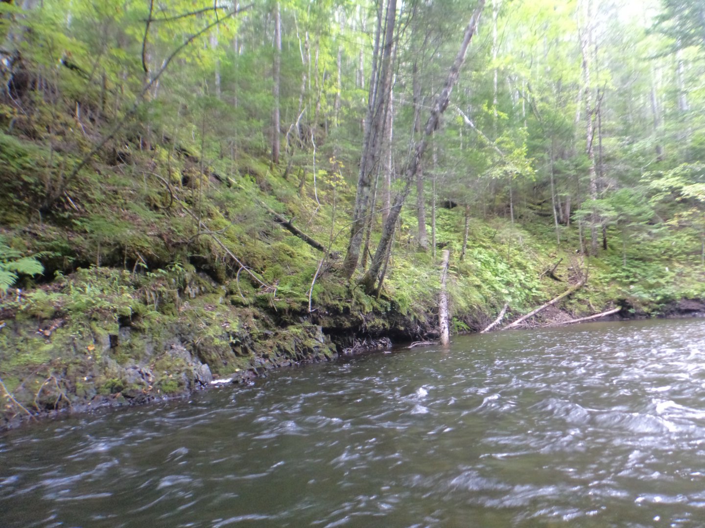 DSC02114.JPG