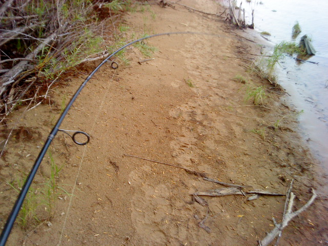 DSC02116.JPG