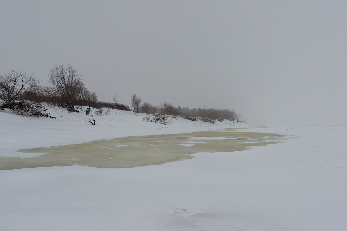 DSC02116.jpg