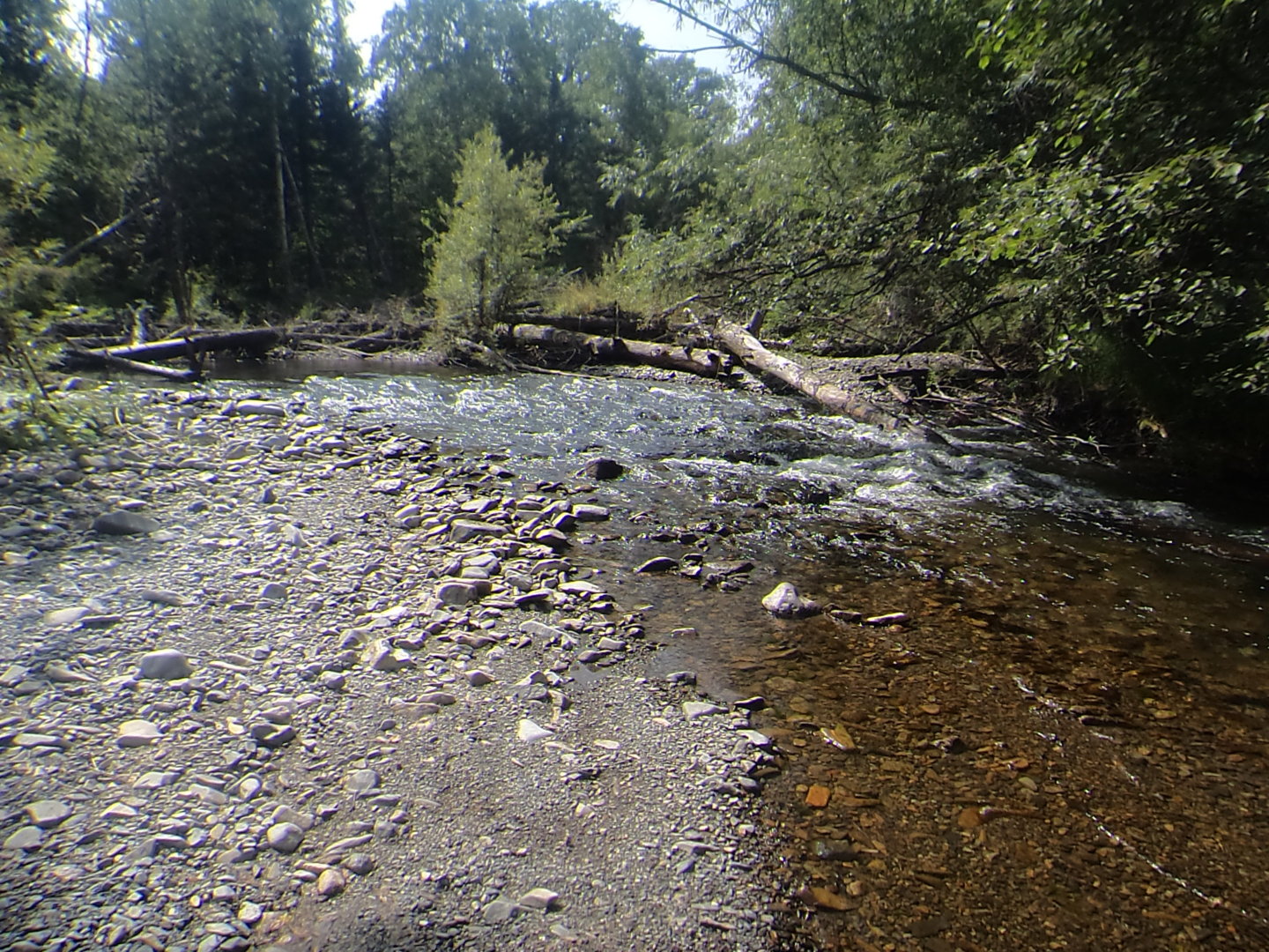 DSC02117.JPG