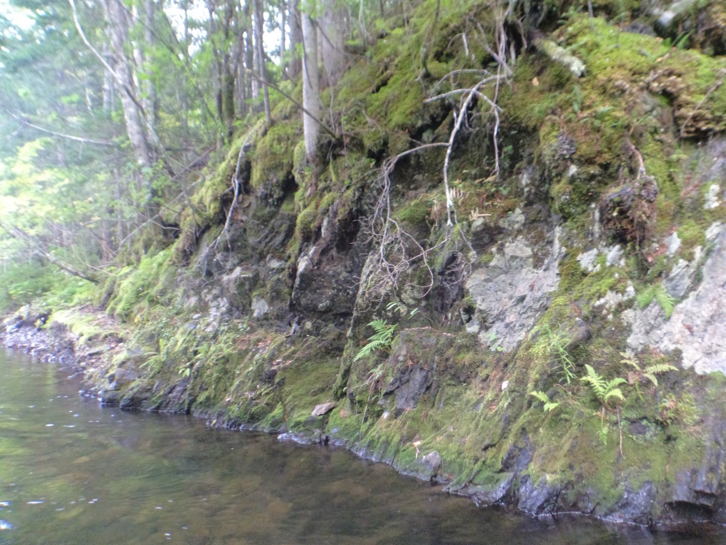 DSC02119.JPG