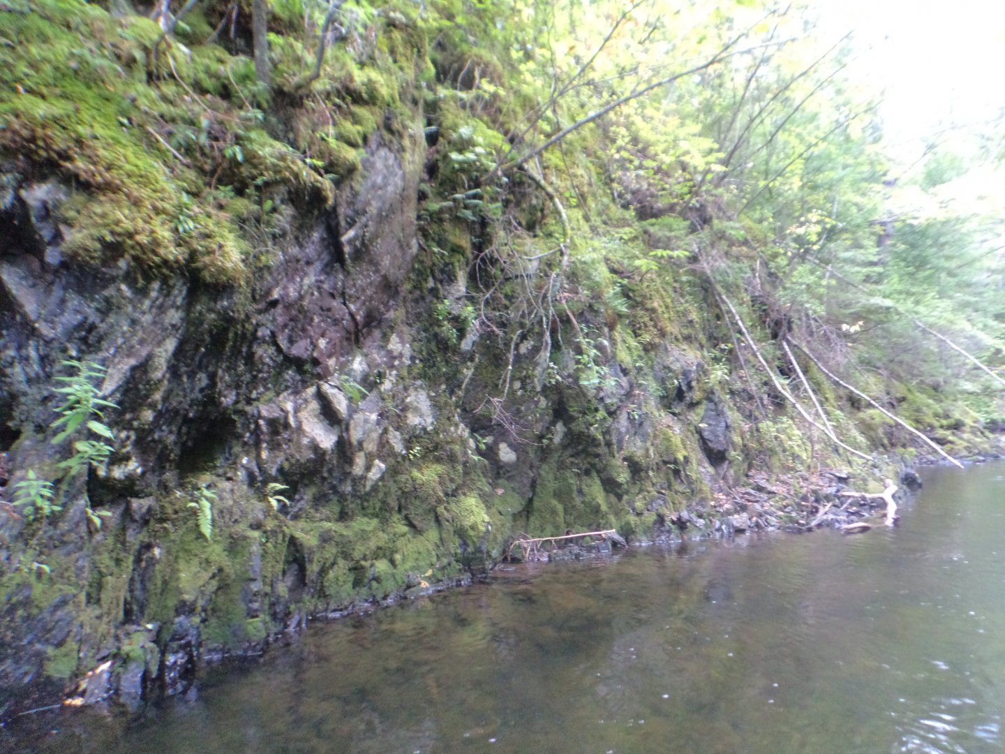 DSC02120.JPG