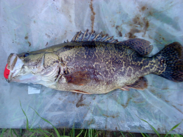 DSC02123.JPG