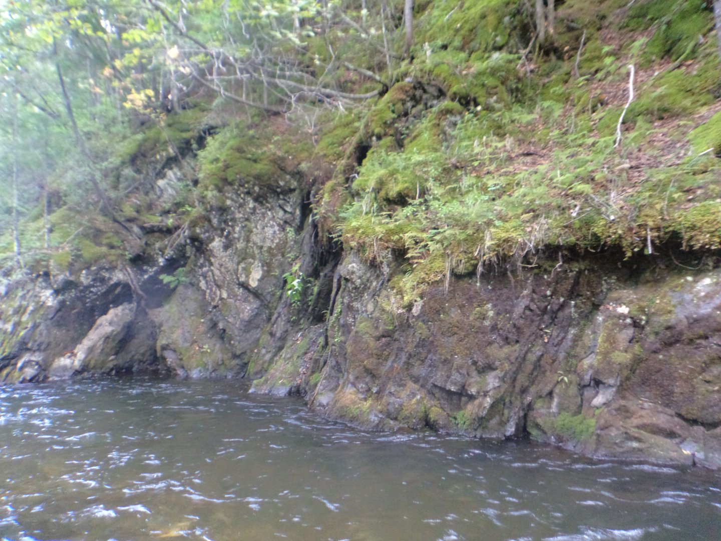 DSC02123.JPG