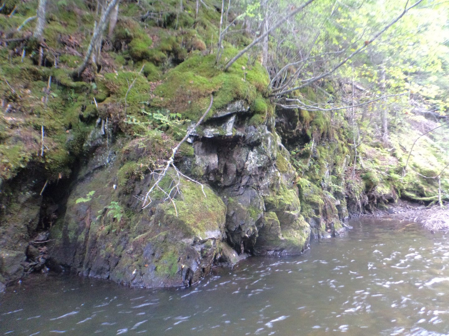 DSC02124.JPG