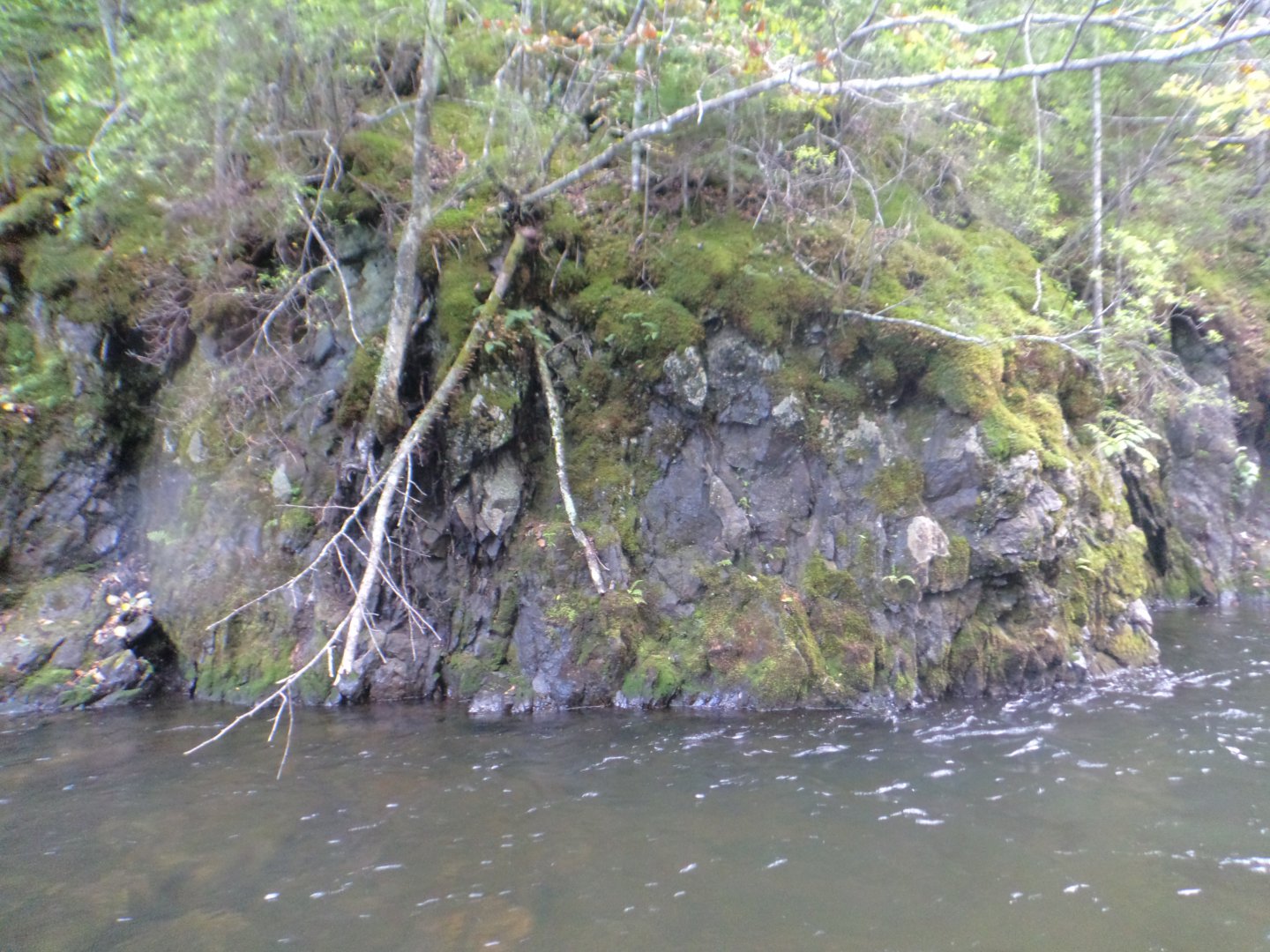 DSC02125.JPG