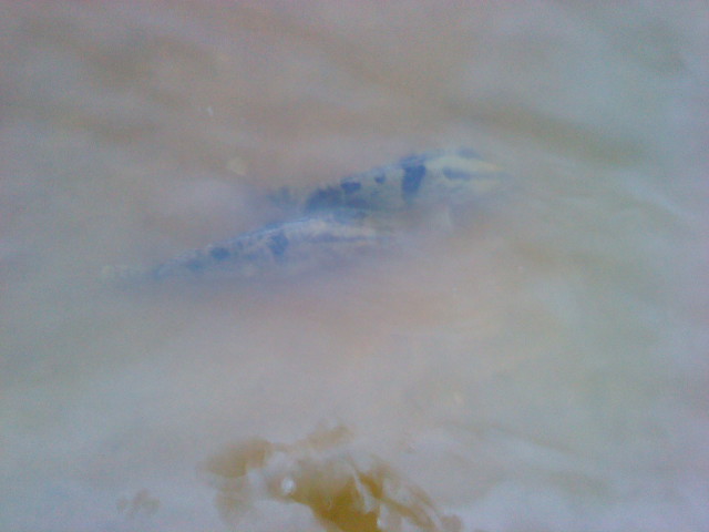 DSC02128.JPG