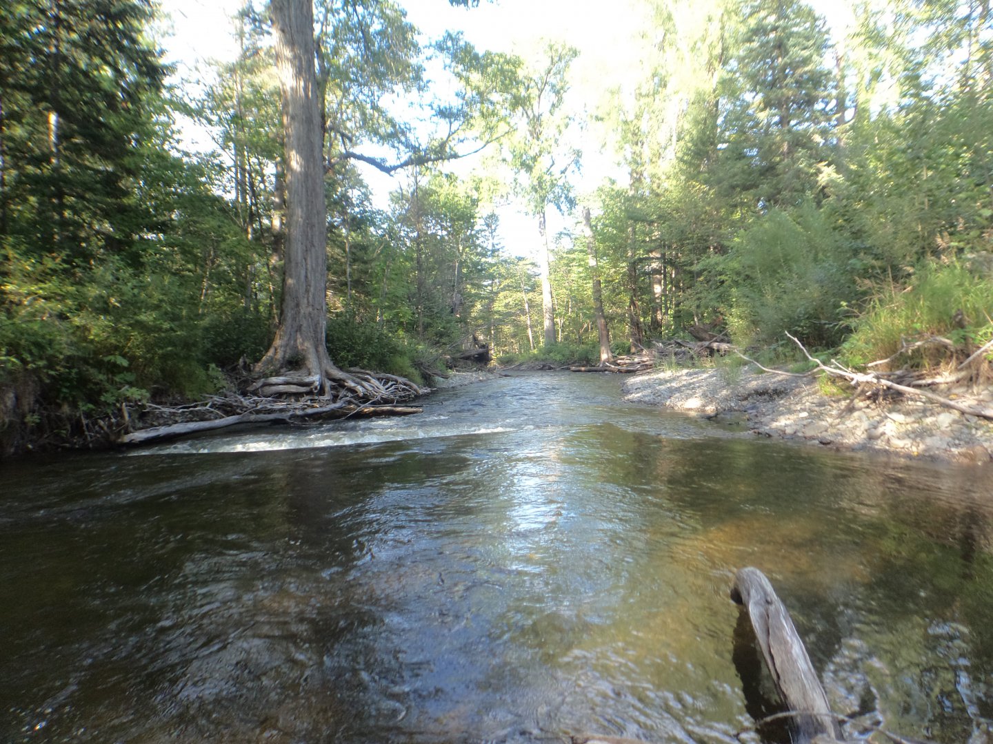 DSC02131.JPG
