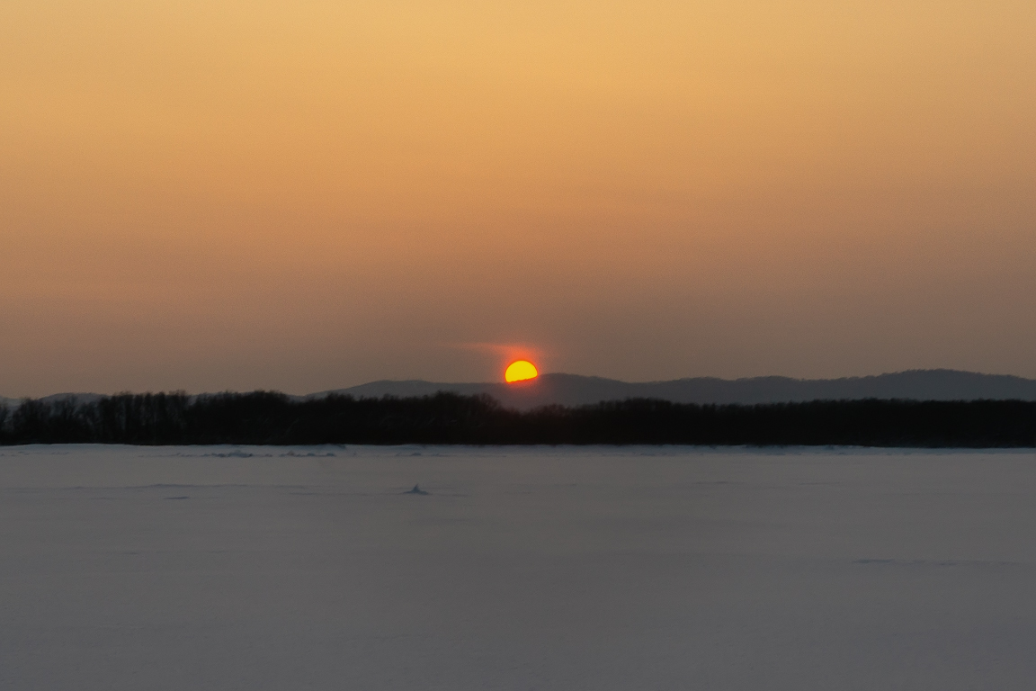 DSC02156.jpg