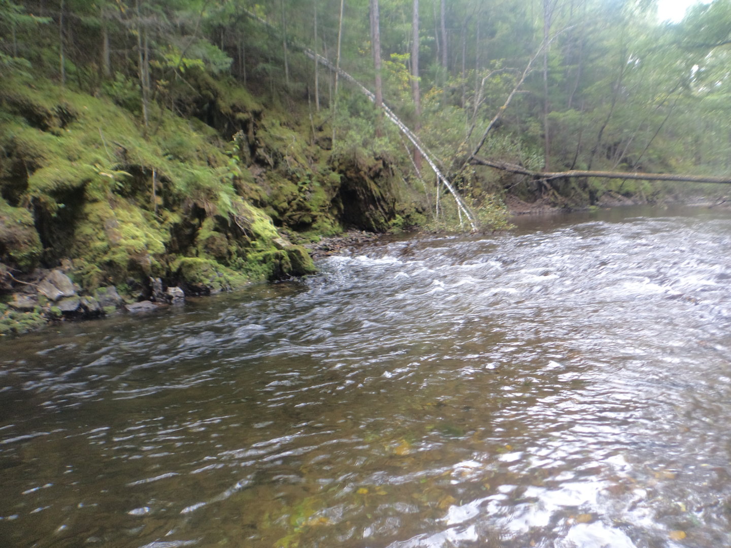 DSC02176.JPG