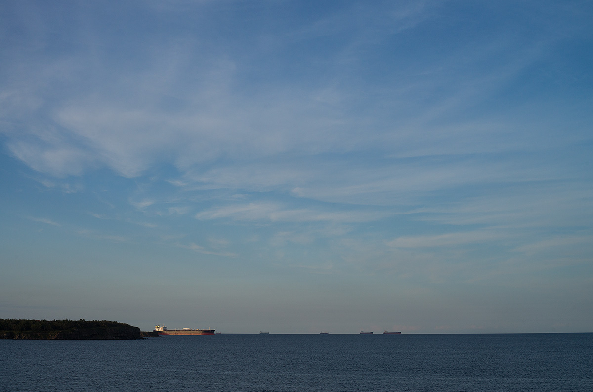 DSC02184.jpg