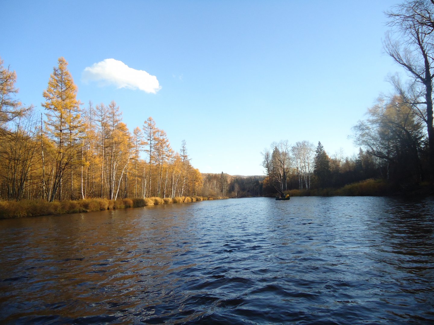 DSC02234.JPG
